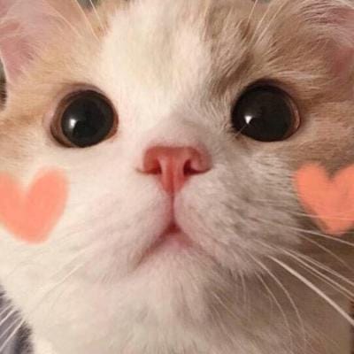 Fernando Zobel avatar