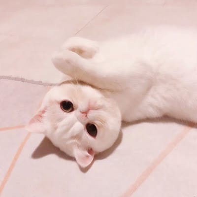 Risa Hontiveros avatar